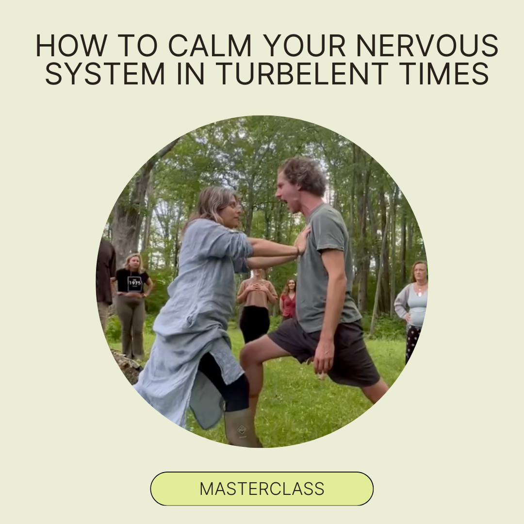 How To Calm Your Nervous System In Turbulent Times - 2.5 HR Video