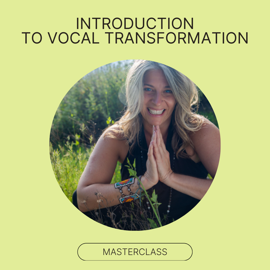 Introduction To Vocal Transformation - 2.5 HR Video