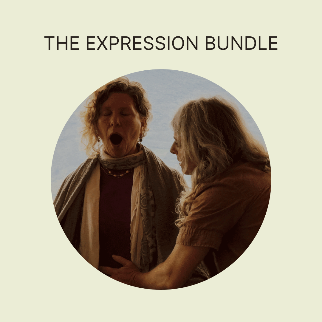 The Expression Bundle